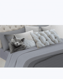 Set Lenzuola Letto Matrimoniale  Made in Italy - Gatto Addormentato