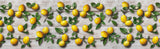 Tappeto Cucina Antimacchia e Antiscivolo | Limoni