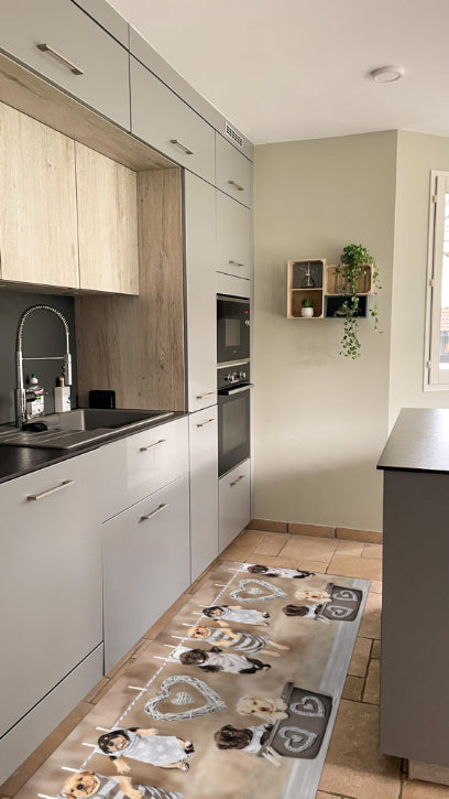 Tappeti Cucina Moderni e Antiscivolo | Passatoie PVC #106.CANIAPPESI