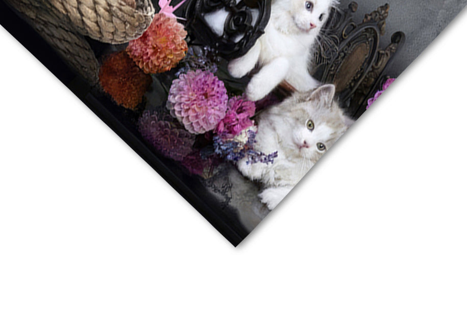 Tappeti Cucina Moderni e Antiscivolo | Passatoie PVC #463.CATROOM