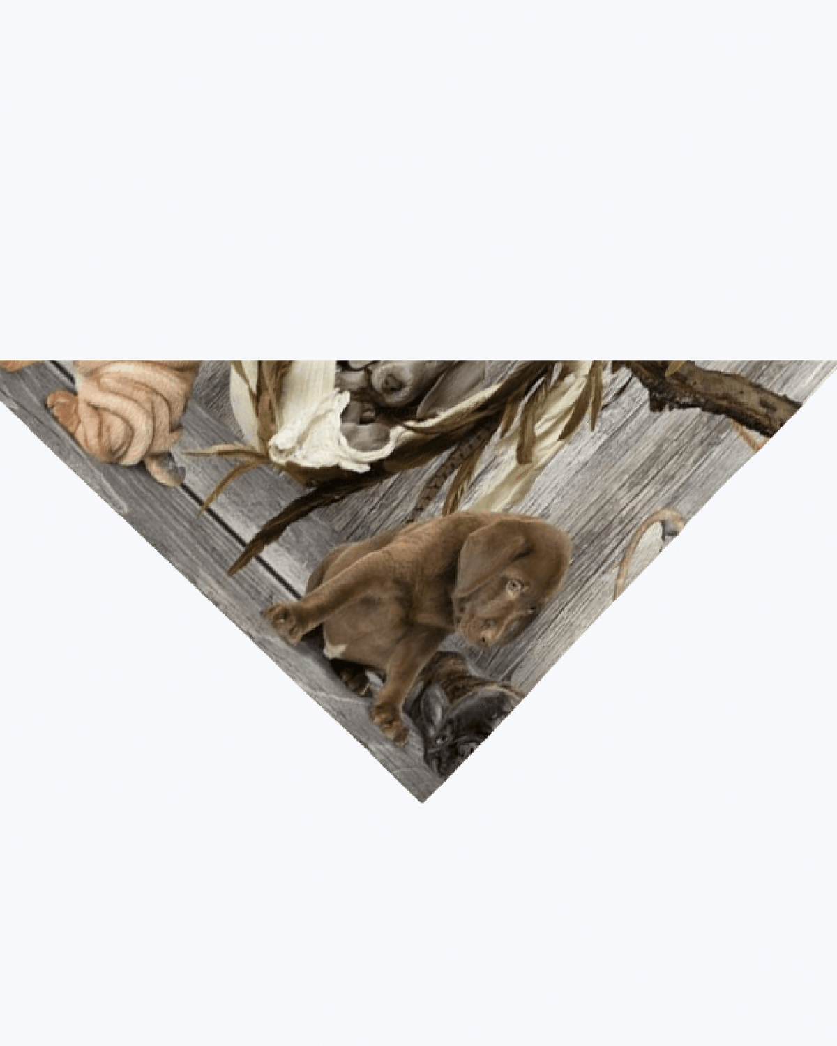 Tappeto Passatoia Antiscivolo e Antimacchia in PVC con Stampa Cagnolini