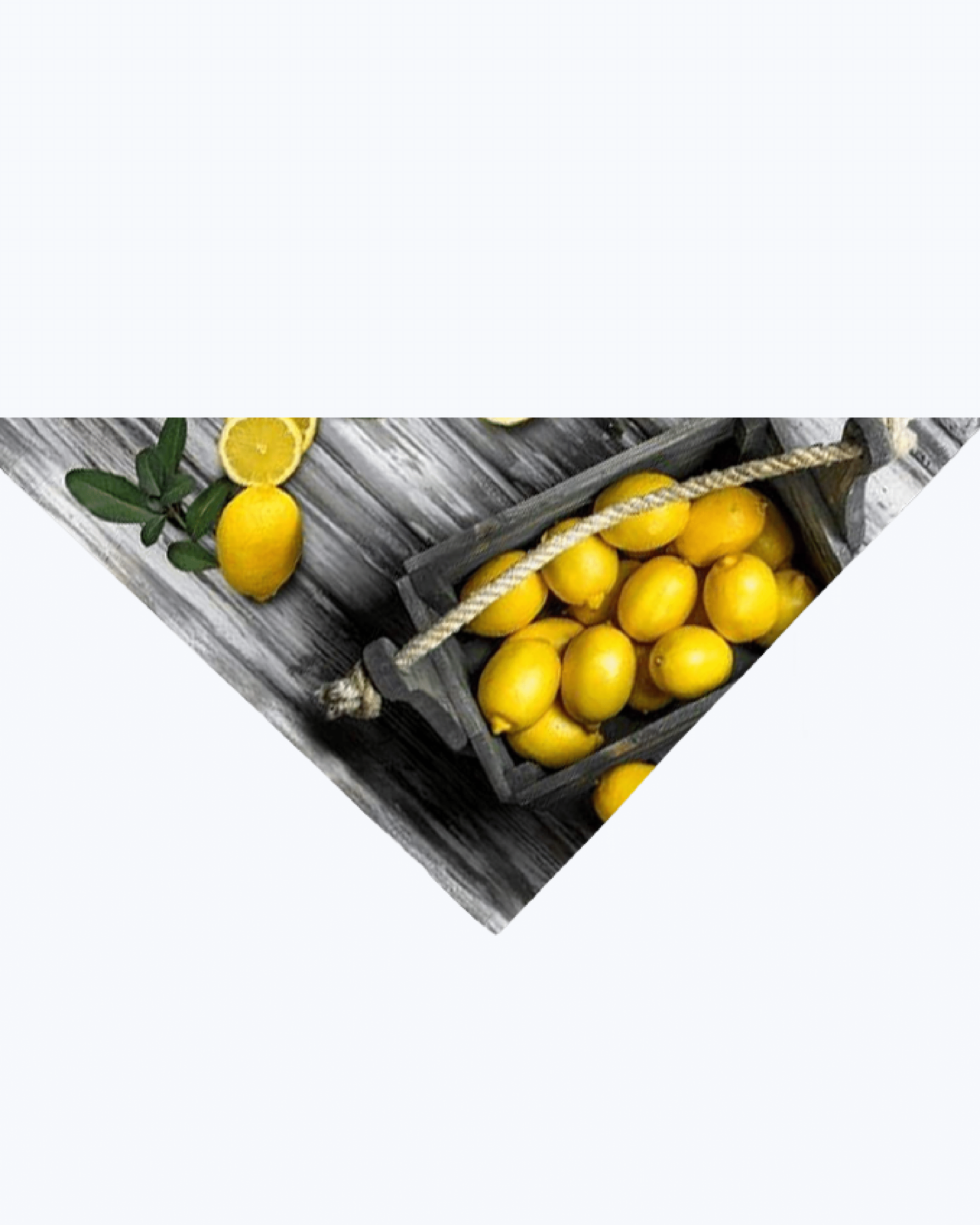 Tappeto Passatoia Antiscivolo e Antimacchia in PVC con Stampa Limoni